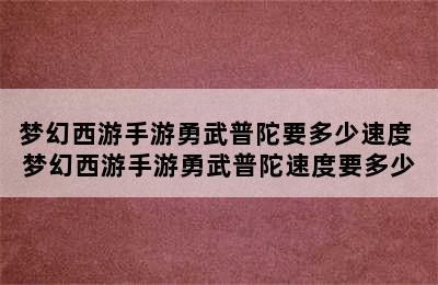 梦幻西游手游勇武普陀要多少速度 梦幻西游手游勇武普陀速度要多少